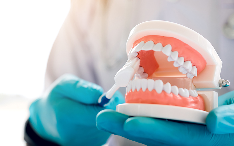 dental services demo teeth brushing